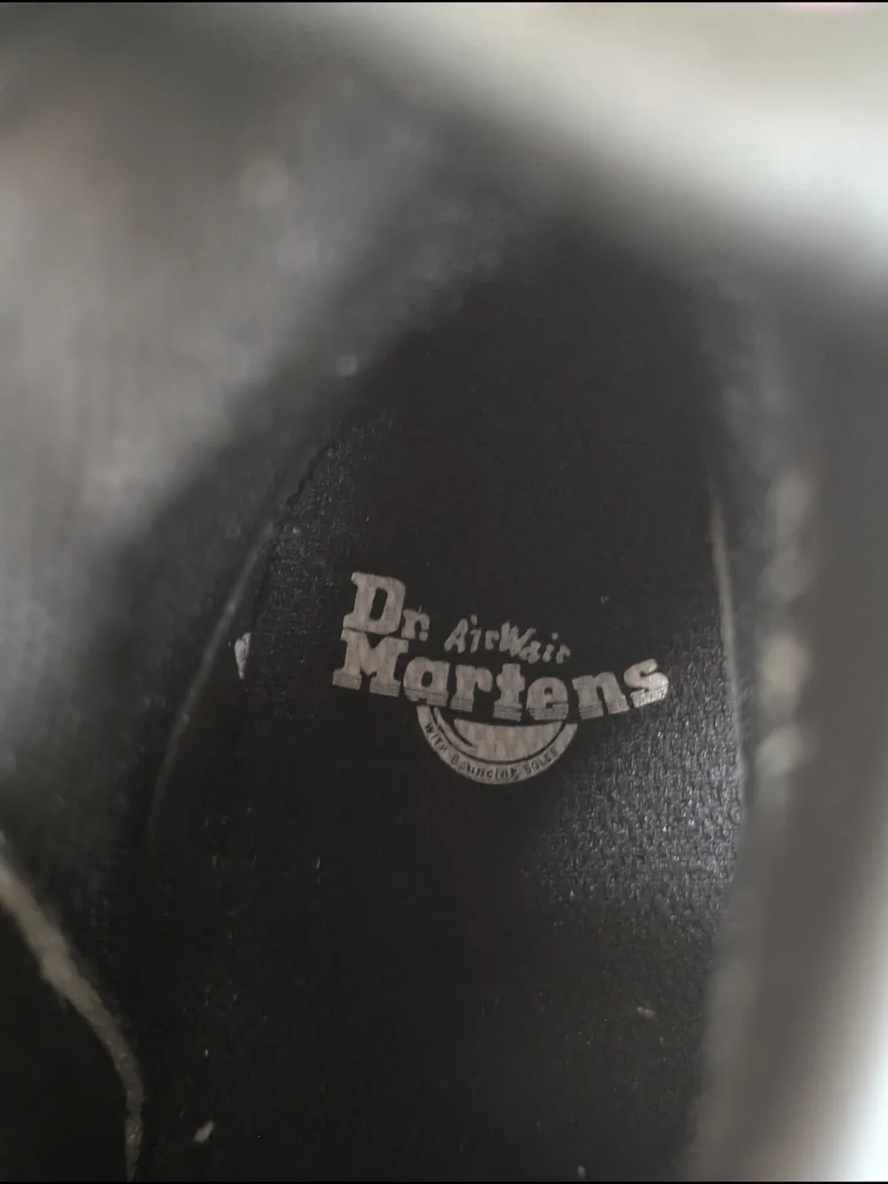 Dr. Martens Women's Iridescent Lace-Up Ankle Boots
